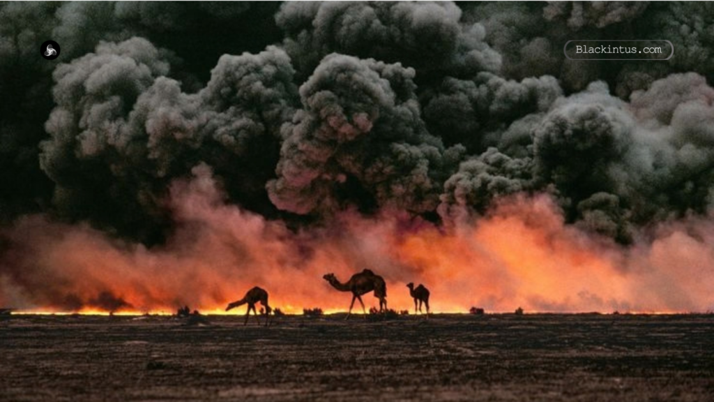 Oil.